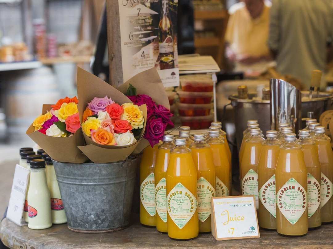 Matakana Tours-马塔卡纳小镇必去景点