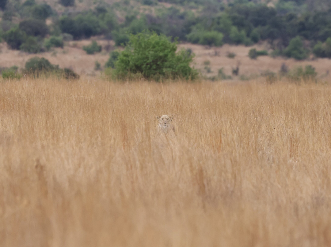 Loisico Tours and Excursions-Bloubergstrand必去景点