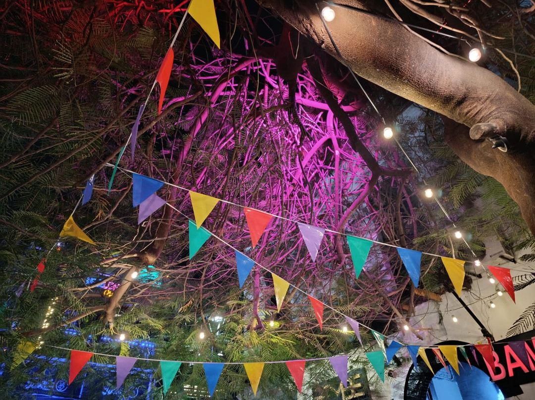 Centro Historico de Santa Marta-圣玛尔塔必去景点