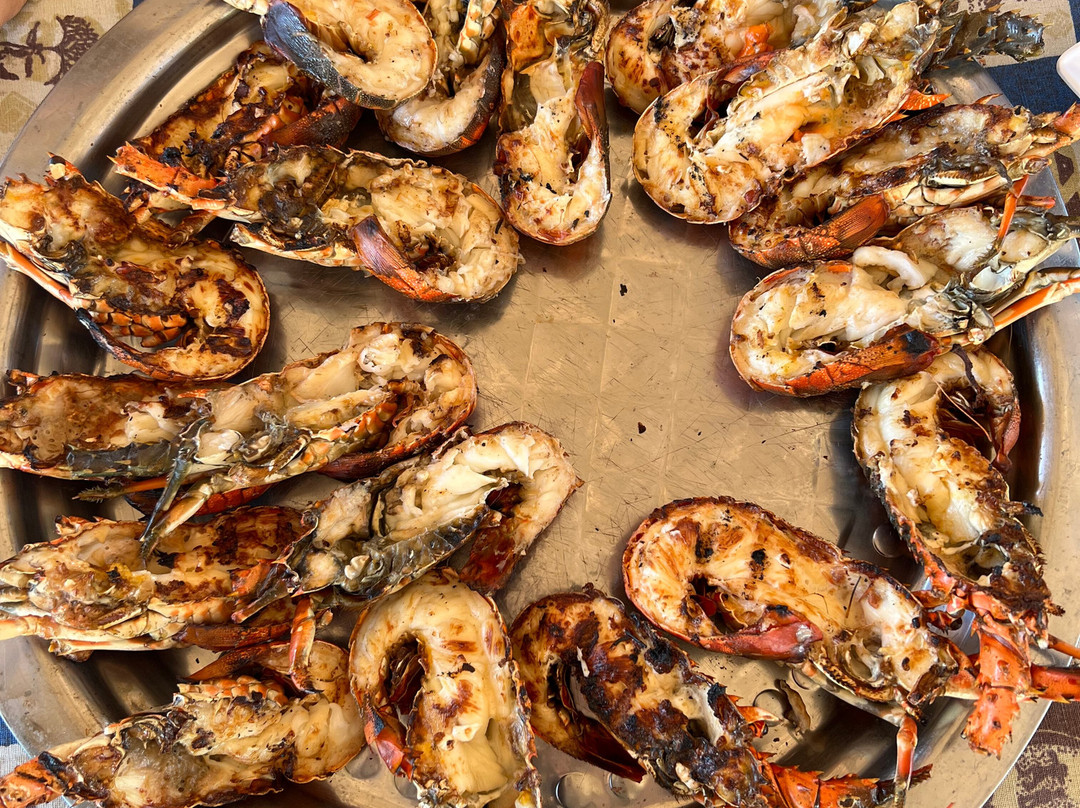 Safari Kenya roberto toba-瓦塔木必去景点