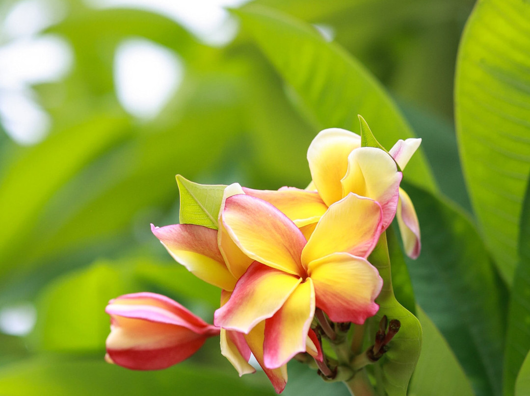 Pension Poerani Nui主图