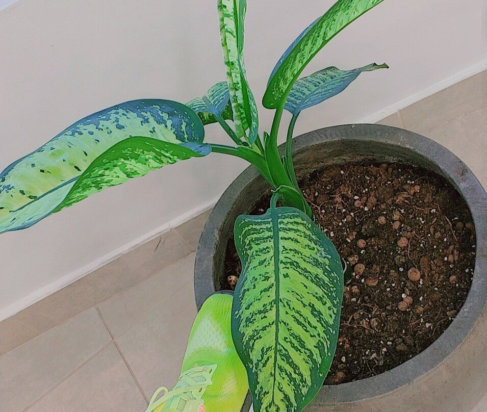 米索尼酒店主图