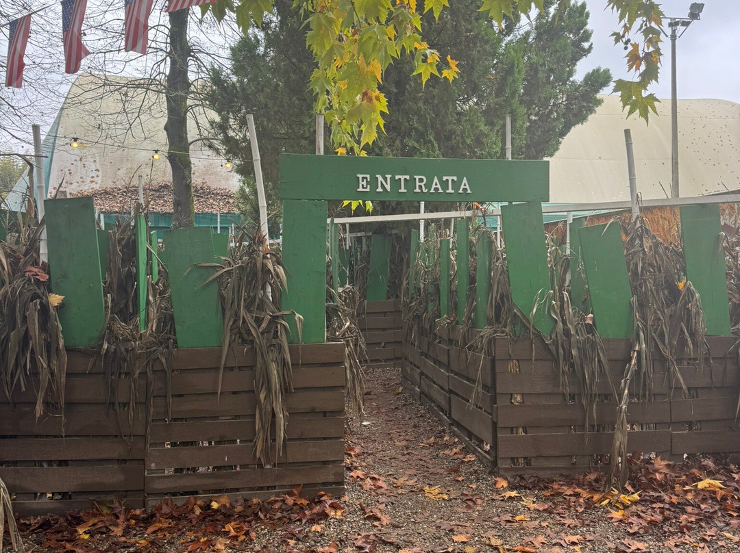 Il Villaggio Delle Zucche-San Martino Siccomario必去景点