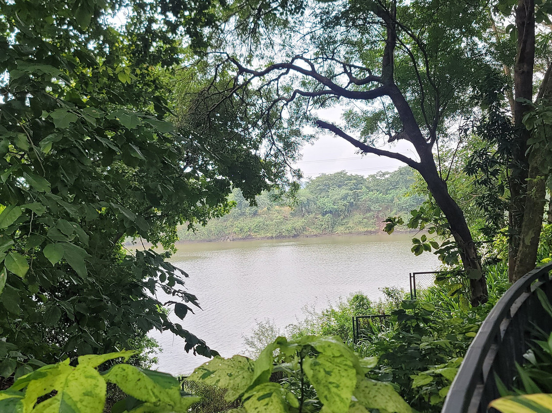 Silent Hills Resort主图