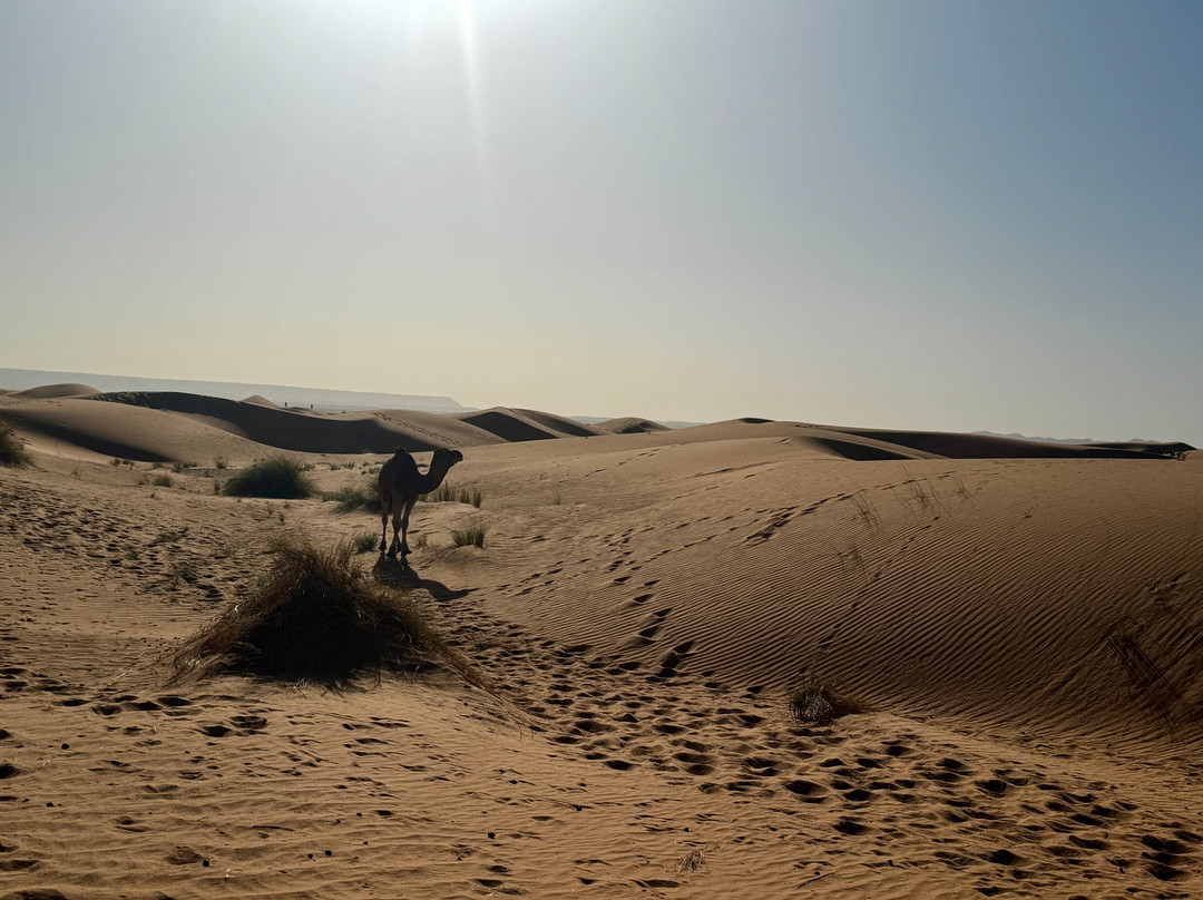 Moroccan Guides Travel-马拉喀什必去景点