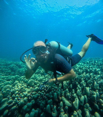Seahawks SCUBA-哈夫洛克岛必去景点