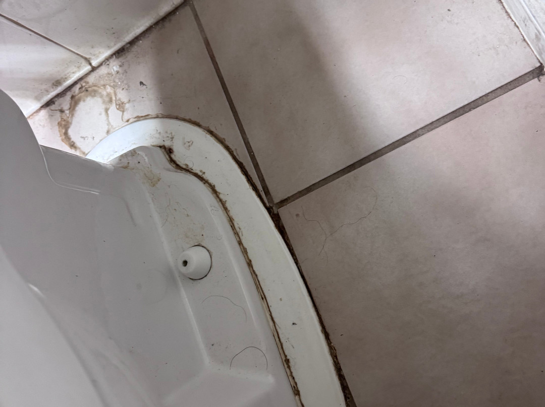 American Inn And Suites Dundee主图