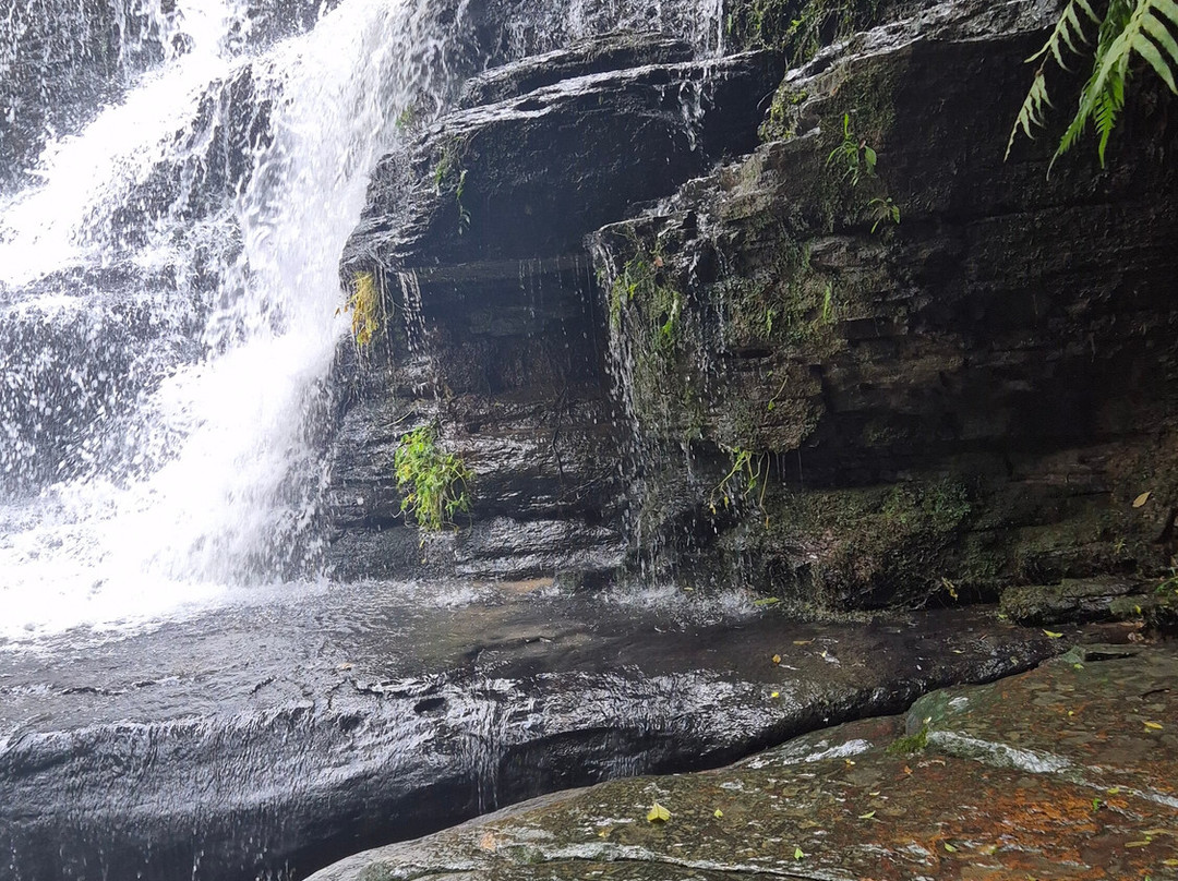 Cachoeira Perehouski-Prudentopolis必去景点