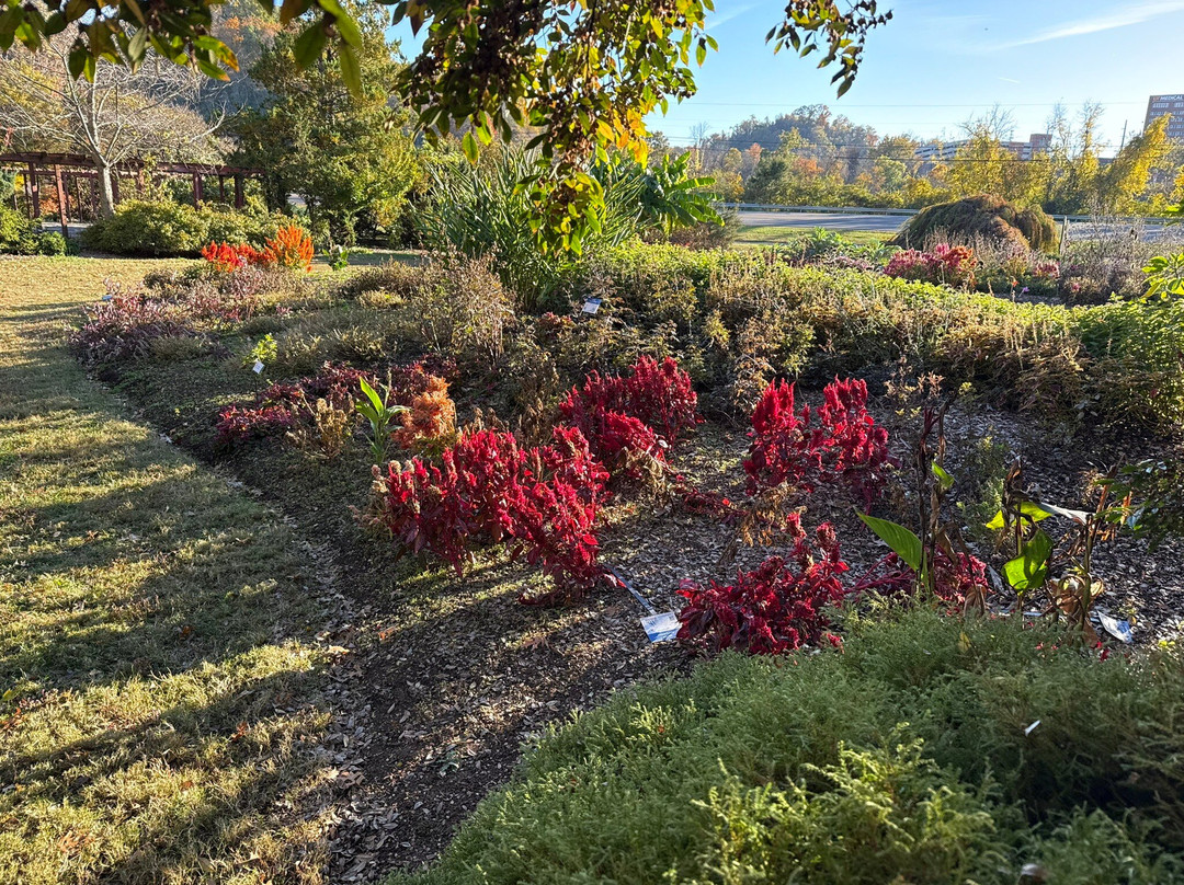 University of Tennessee Arboretum-橡树岭必去景点