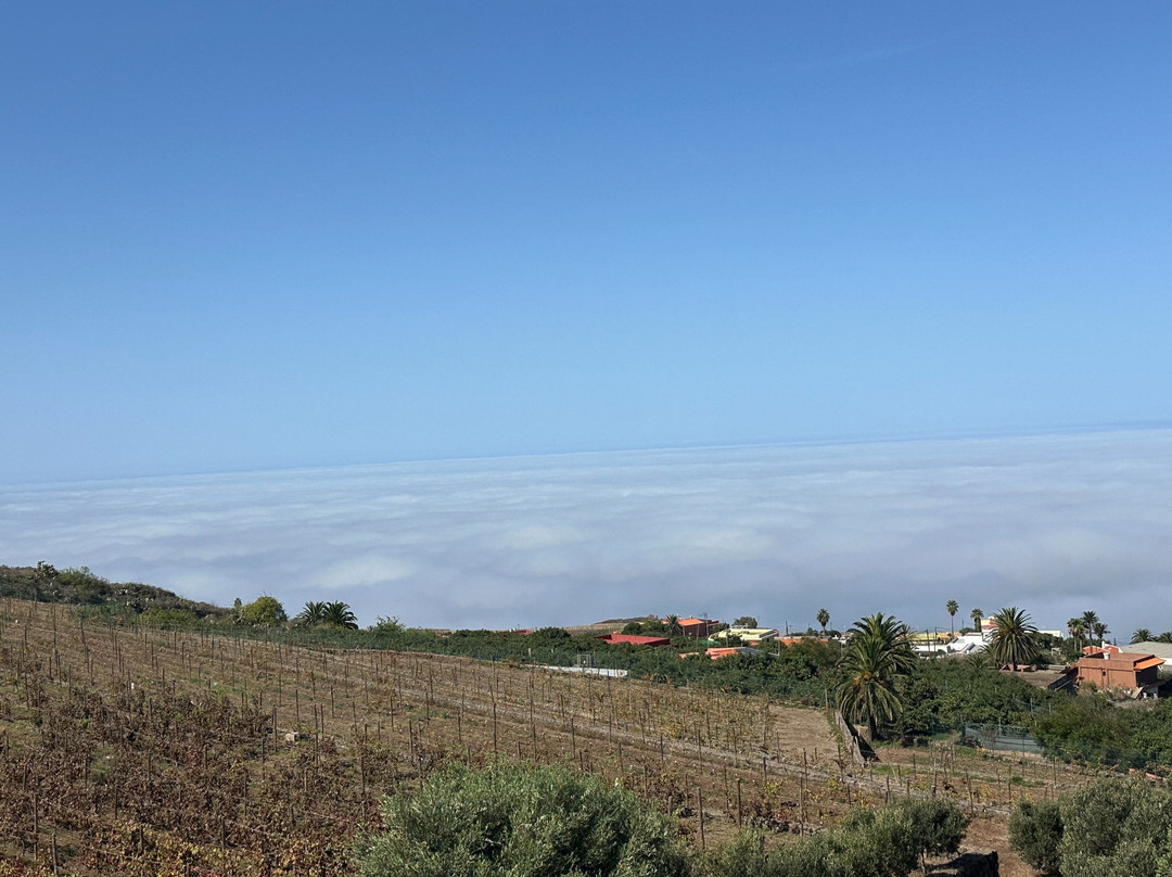 Bodega El Sitio De San Juan-Tacoronte必去景点