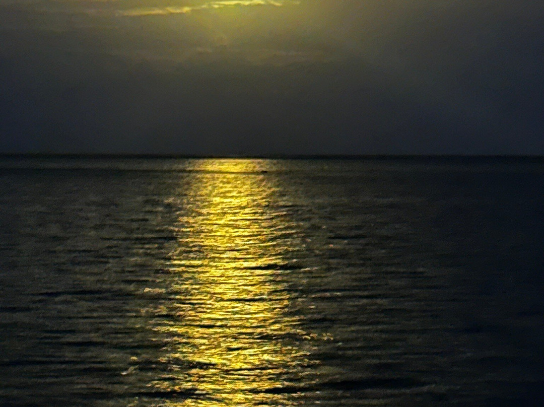 Flying Ginny Catamaran Charter-埃尔波韦尼尔必去景点