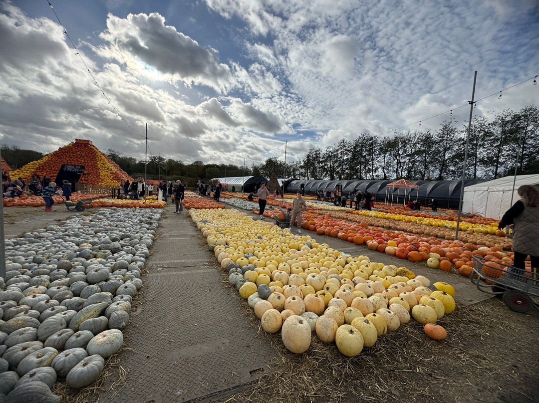 Cammas Hall Farm-Bishops Stortford必去景点