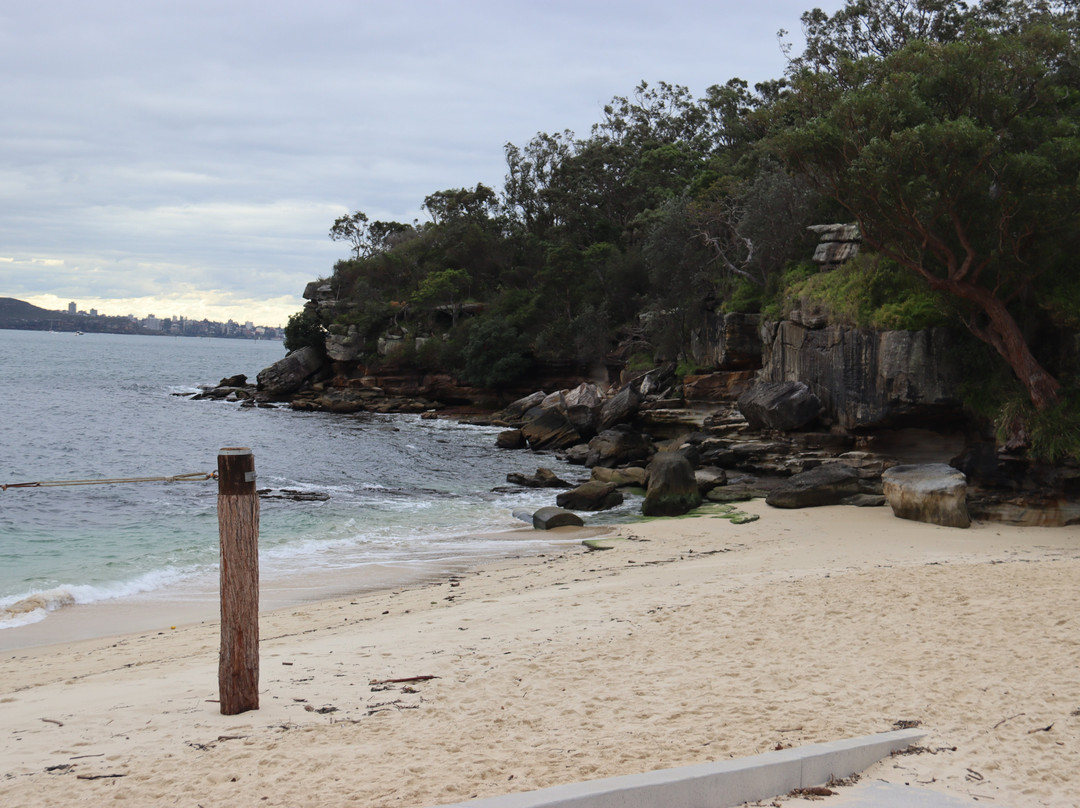 Shark Beach-Vaucluse必去景点