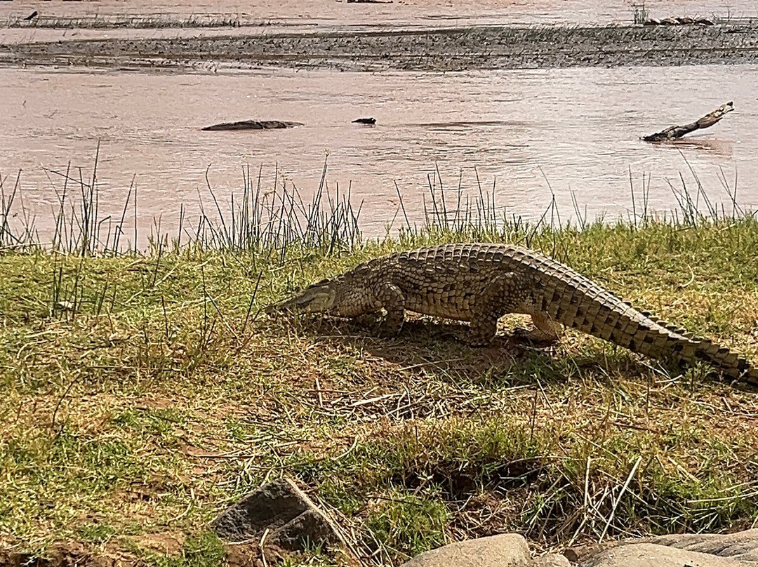 Watamu Diego Safari Day Tours-瓦塔木必去景点