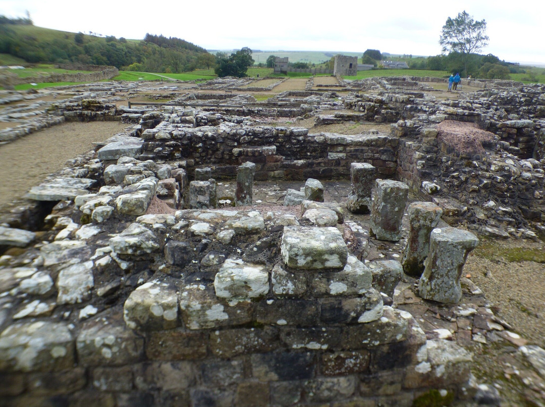 Vindolanda-赫克瑟姆必去景点