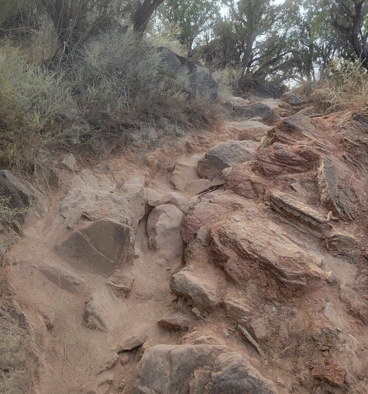 Lighthouse Trail-Canyon必去景点