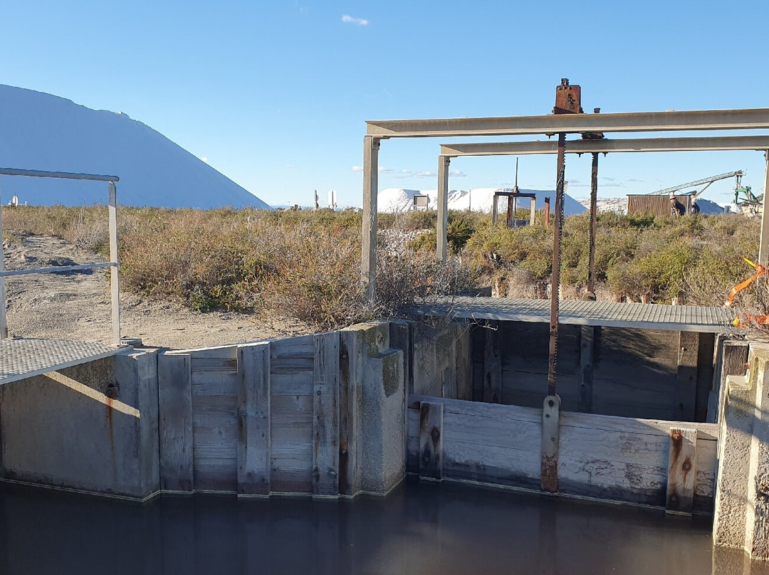 Salin d'Aigues-Mortes-艾格莫尔特必去景点