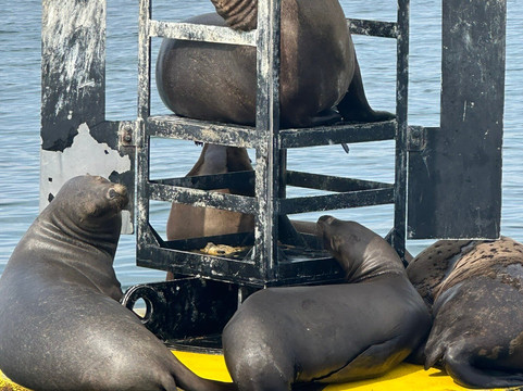 Setours-利马必去景点