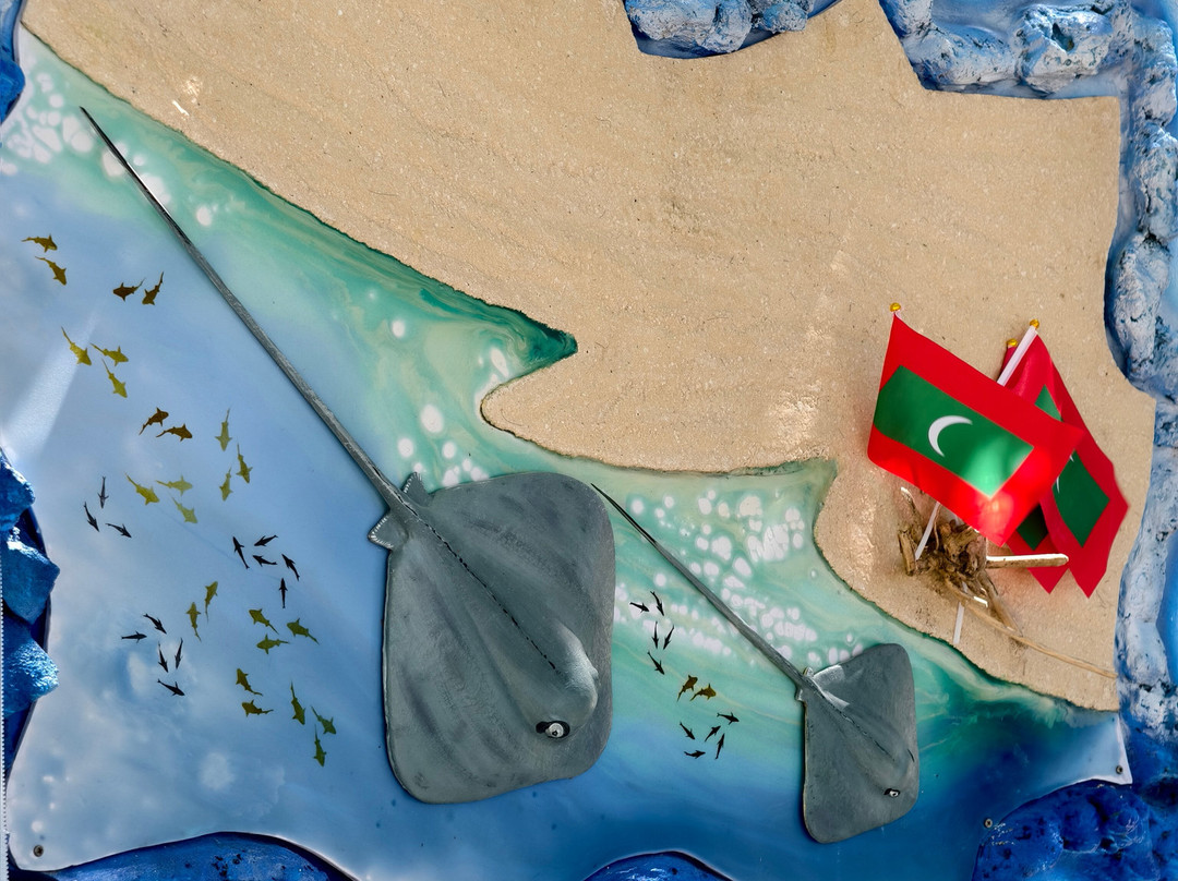 Tropic Trip Maldives-Gulhi Island必去景点