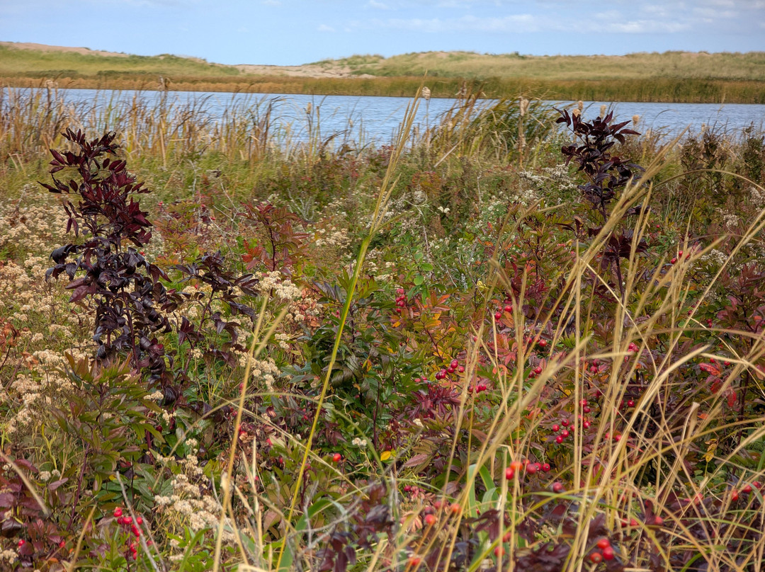 Cavendish Cliffs-卡文迪西必去景点