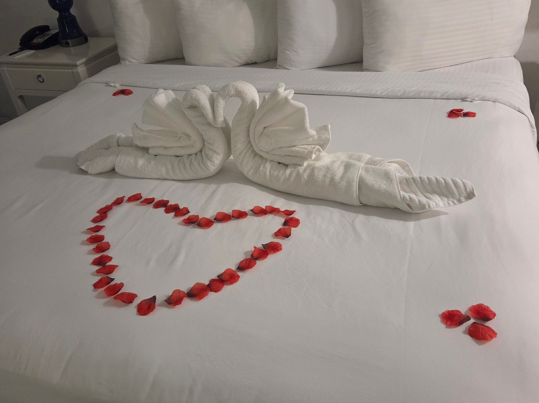 ICONA Cape May主图