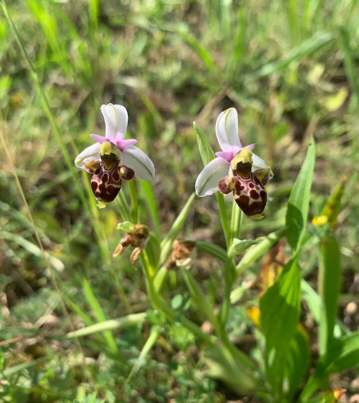 L'atelier Bota-Trets必去景点