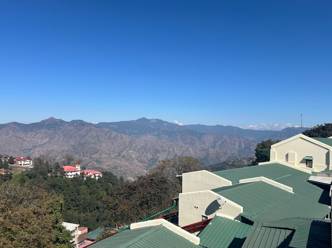 The Royal Afghan主图