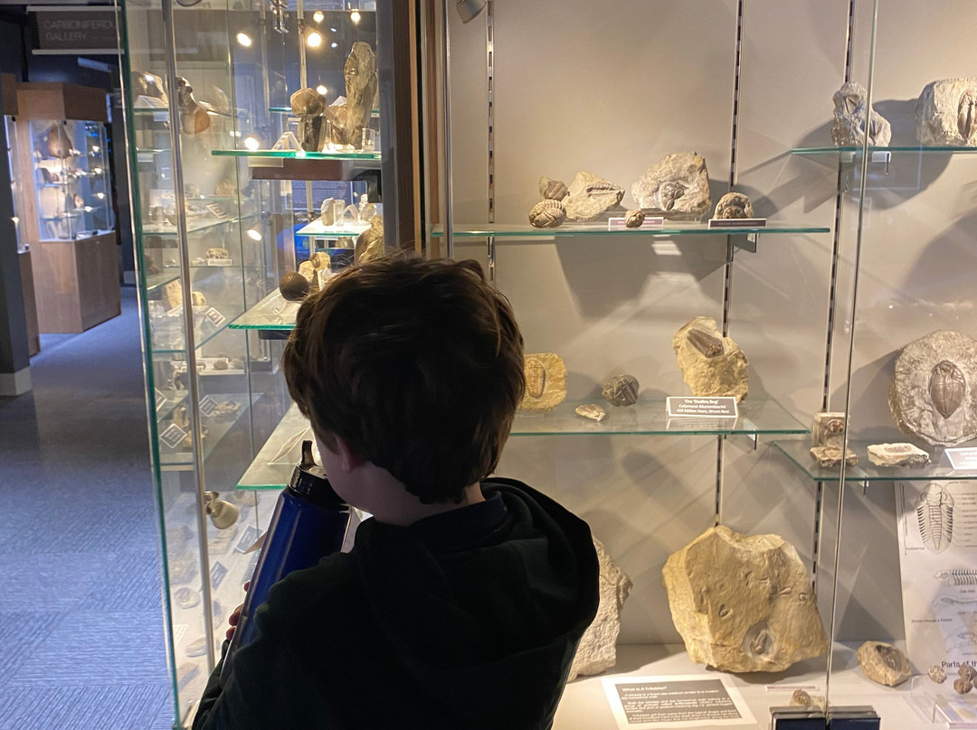 Dudley Museum and Art Gallery-Dudley必去景点