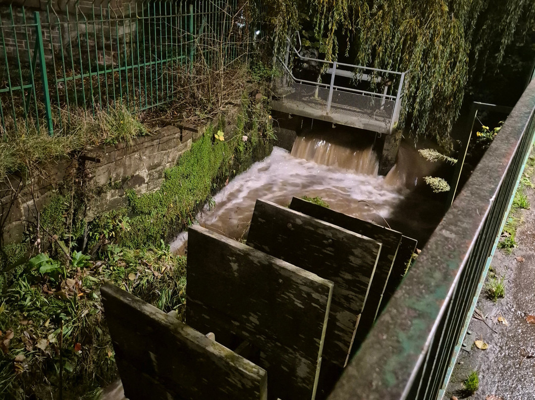 Sycamore House主图