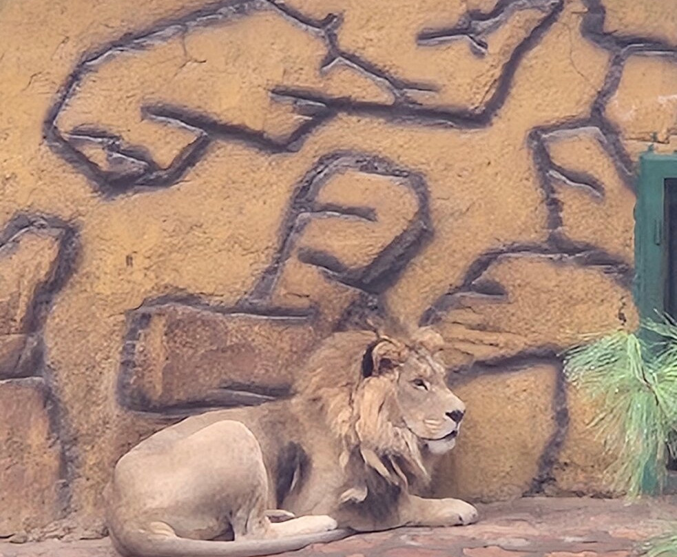 Gaziantep Zoo-加济安泰普必去景点