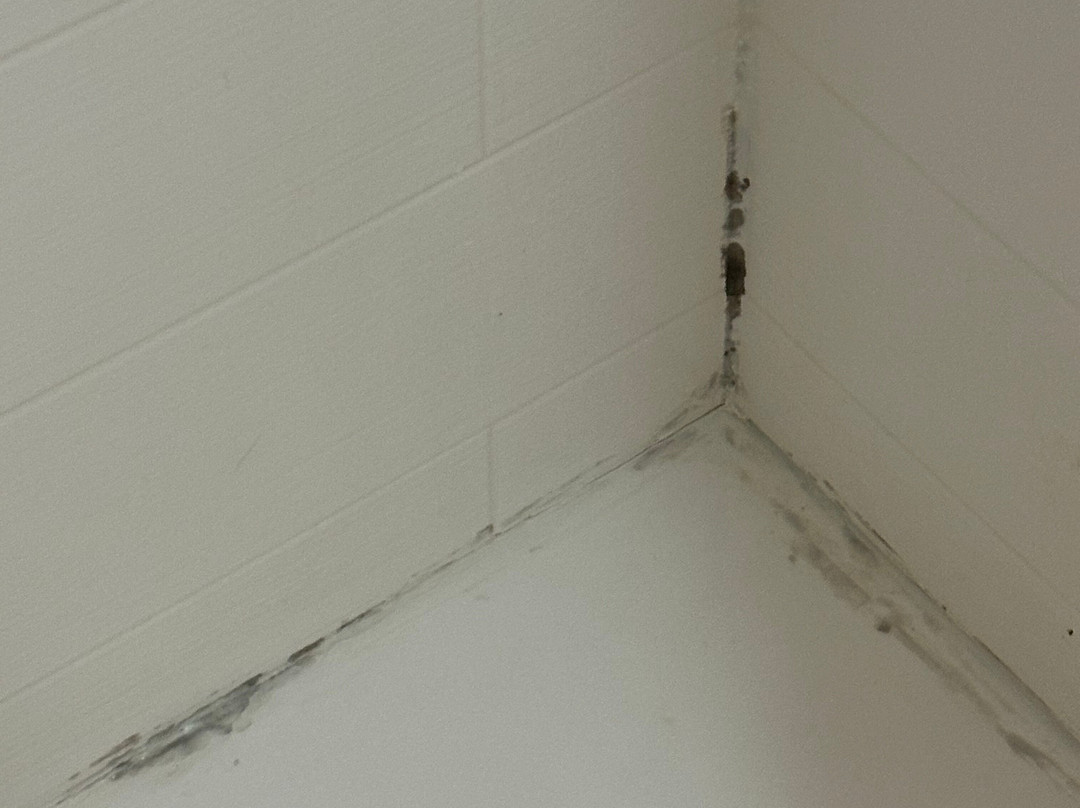 Hotel Indigo Chicago-Vernon Hills by IHG主图