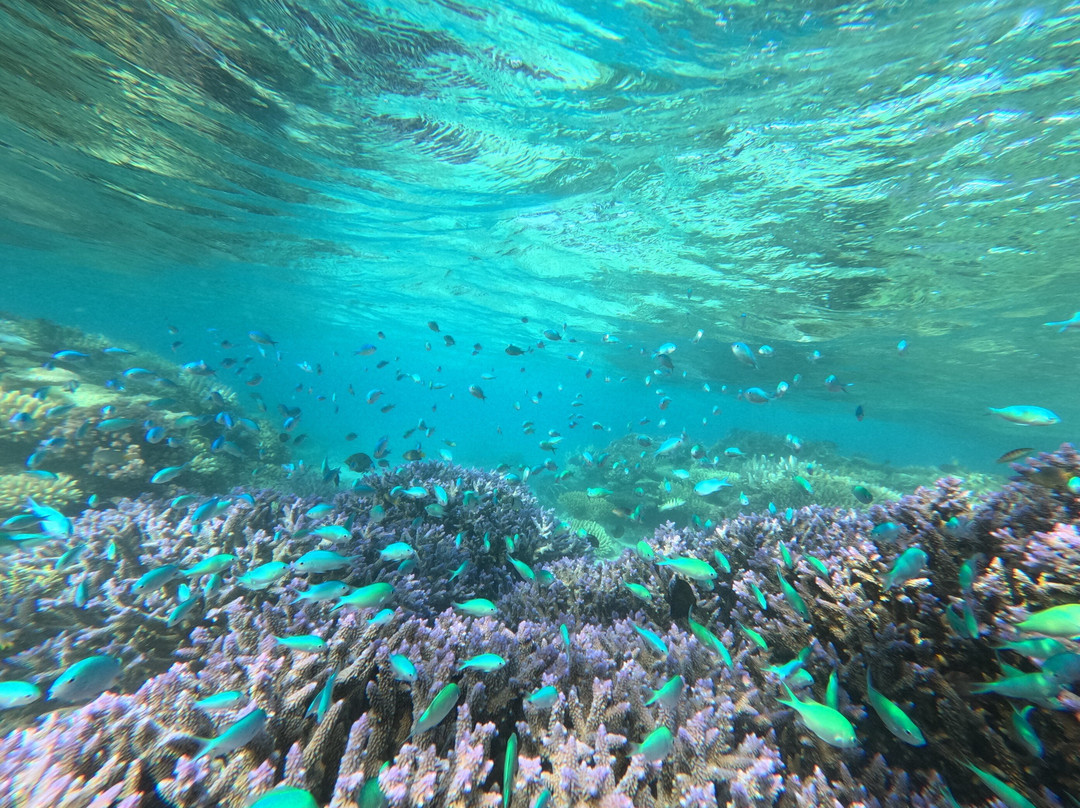 Southern Sea Ventures-霍巴特必去景点