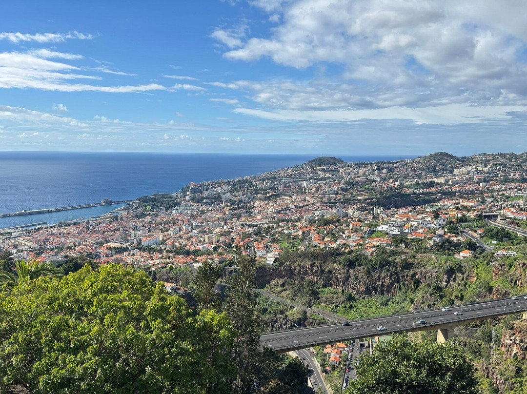 Botanical Garden Cable Car-沙尔必去景点