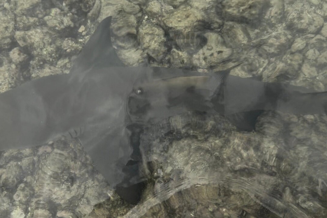 Explore Cape Verde-圣塔玛丽亚必去景点