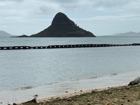 Aloha Shaka Tours-火奴鲁鲁必去景点