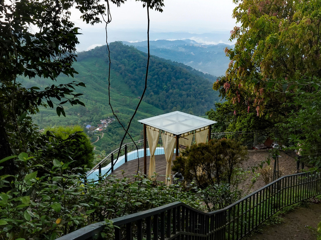 Blackberry Hills Munnar Nature Resort & Spa主图