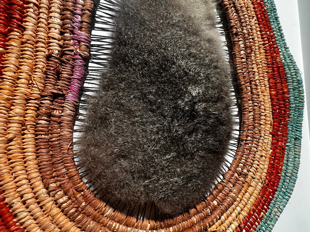 Warrnambool Art Gallery-瓦南布尔必去景点