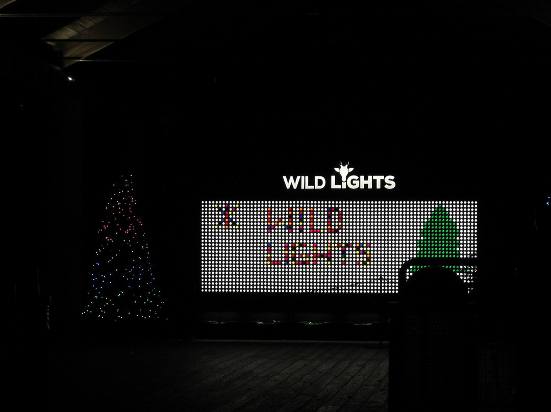 Milwaukee County Zoo-密尔沃基必去景点