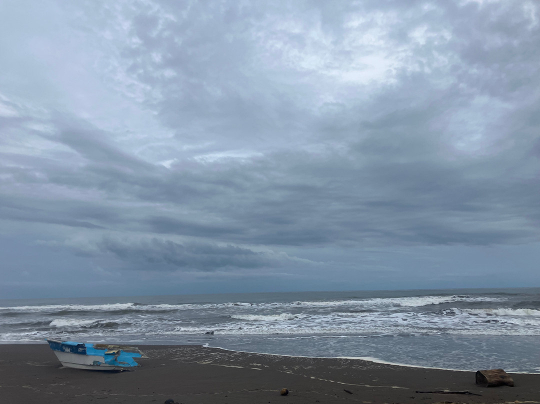 Playa Tortuguero-Barahona必去景点
