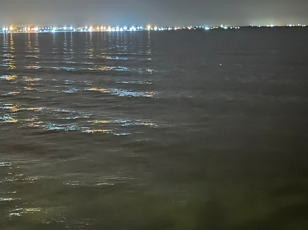 Hotel Al Jazira主图