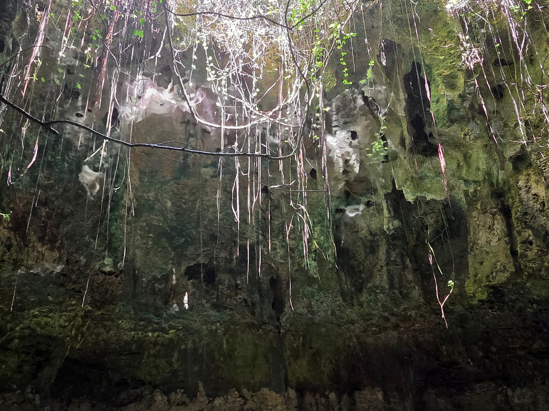 Natural Pool Tiwi African Pool Map.-迪亚尼必去景点