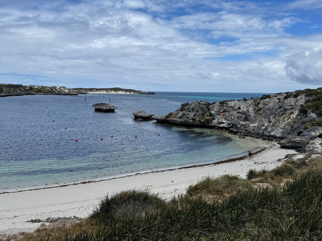 Rottnest Island Visitor Centre-罗特尼斯岛必去景点