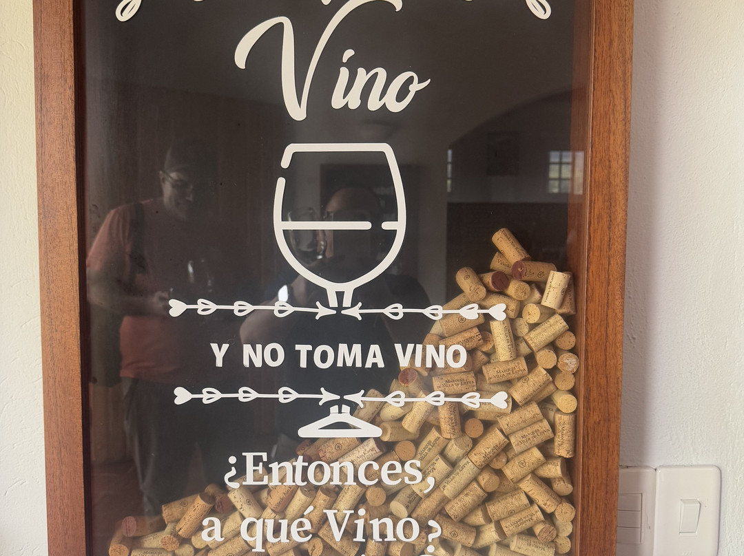 Viñedo Ain Karim-莱瓦镇必去景点