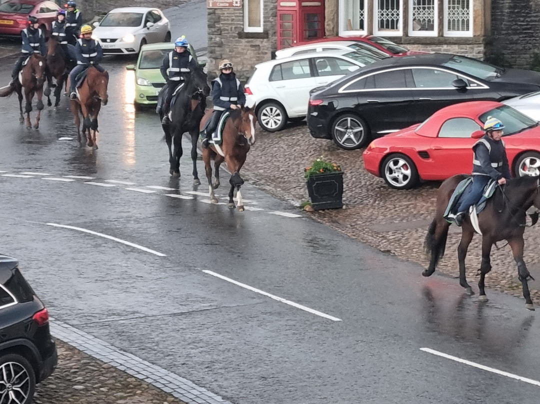 The Wensleydale Hotel主图