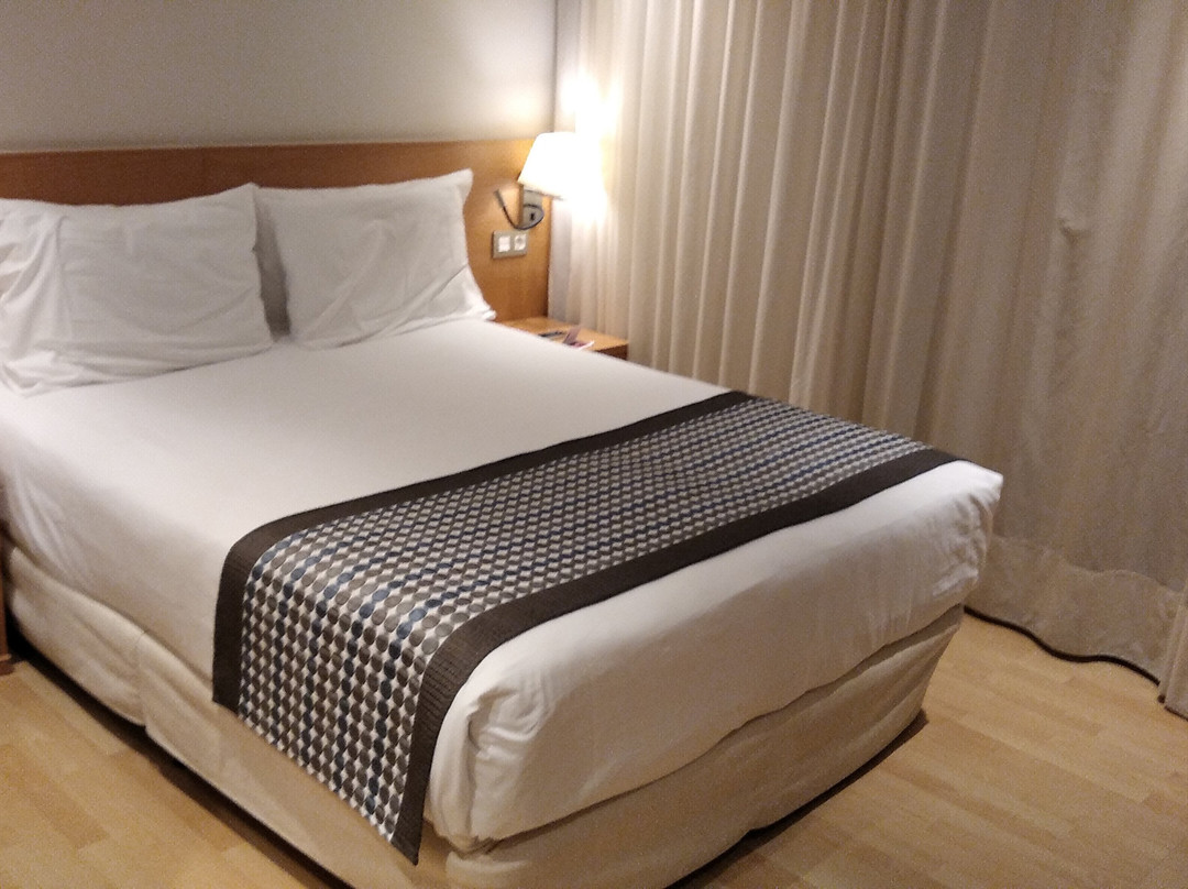 Hotel Exe Puerta de San Pedro主图