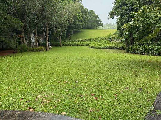 Quality India Tours-新德里必去景点