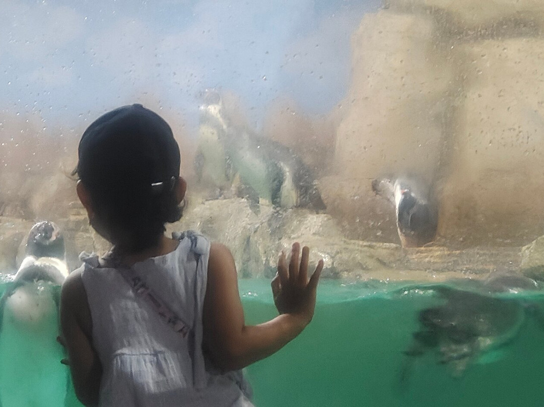 海洋世界-雅加达必去景点