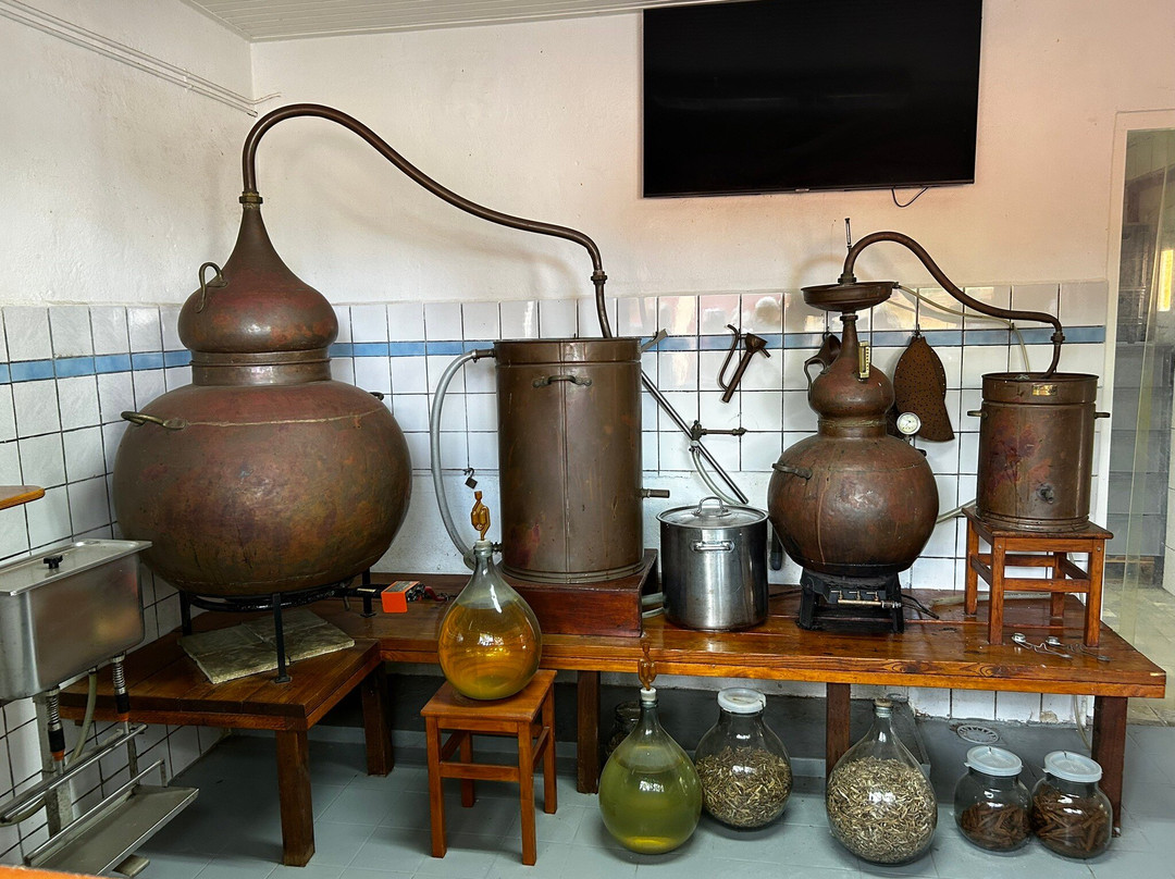 The Cadushy Distillery-Rincon必去景点