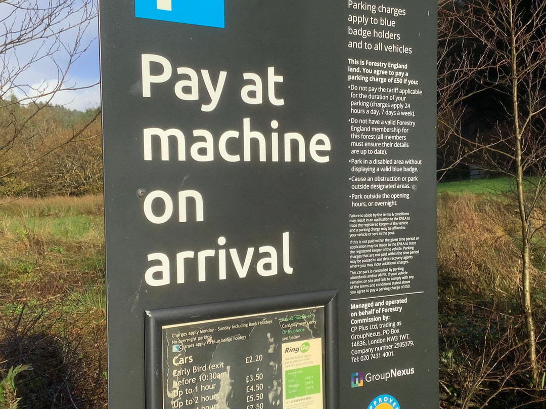 Cardinham Woods - Forestry England-博德明必去景点