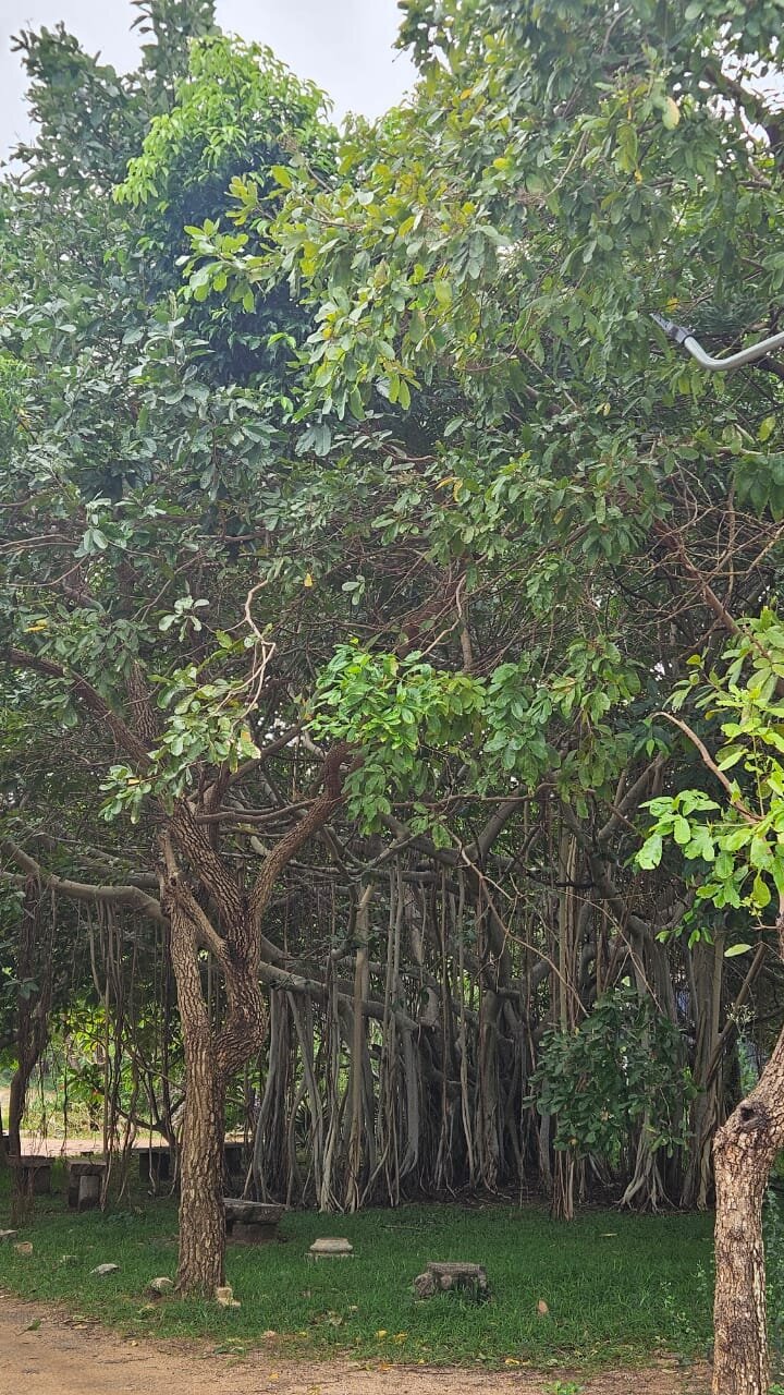 The Dune Eco Village And Spa-官方